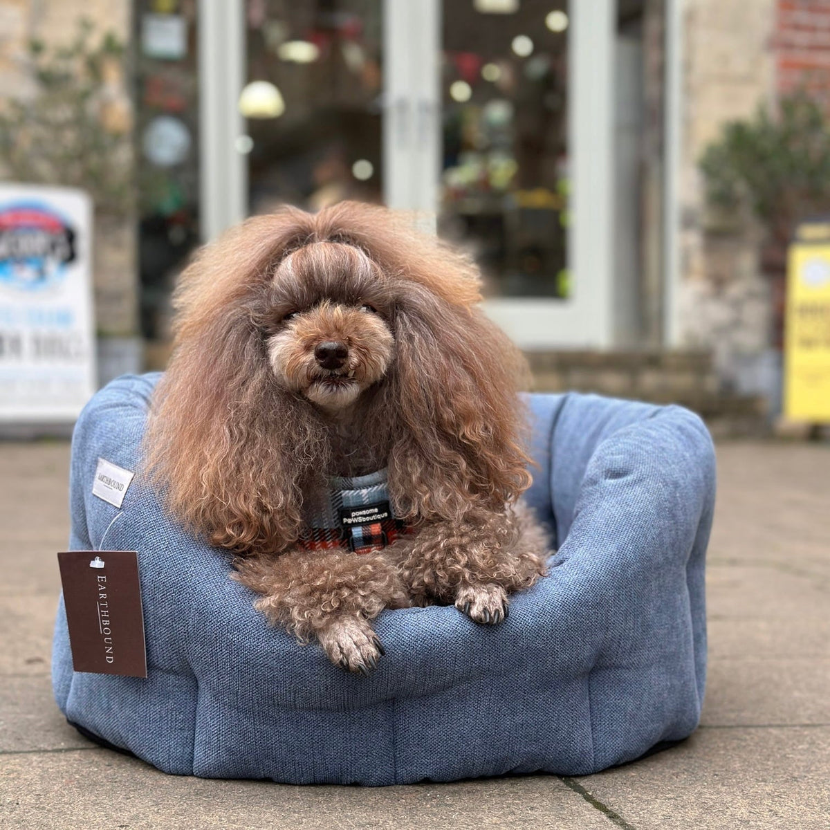 Earthbound Orkney Daisy Blue Dog Bed