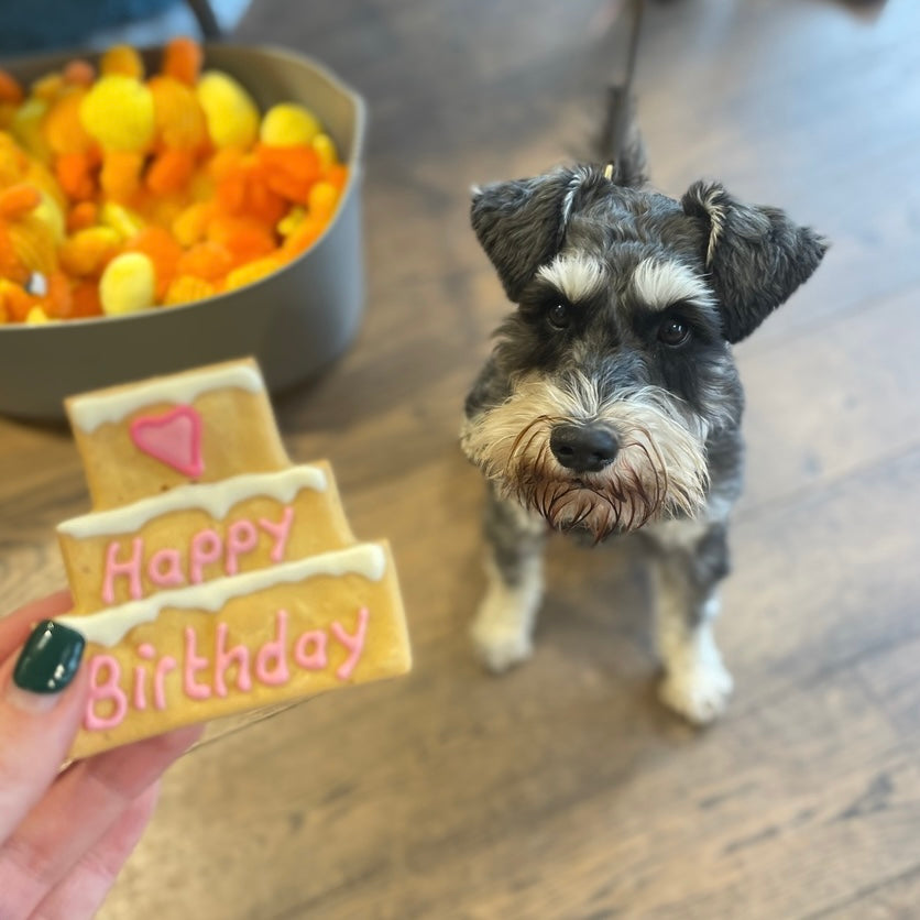Happy Birthday Three Tier Biscuit for Dogs