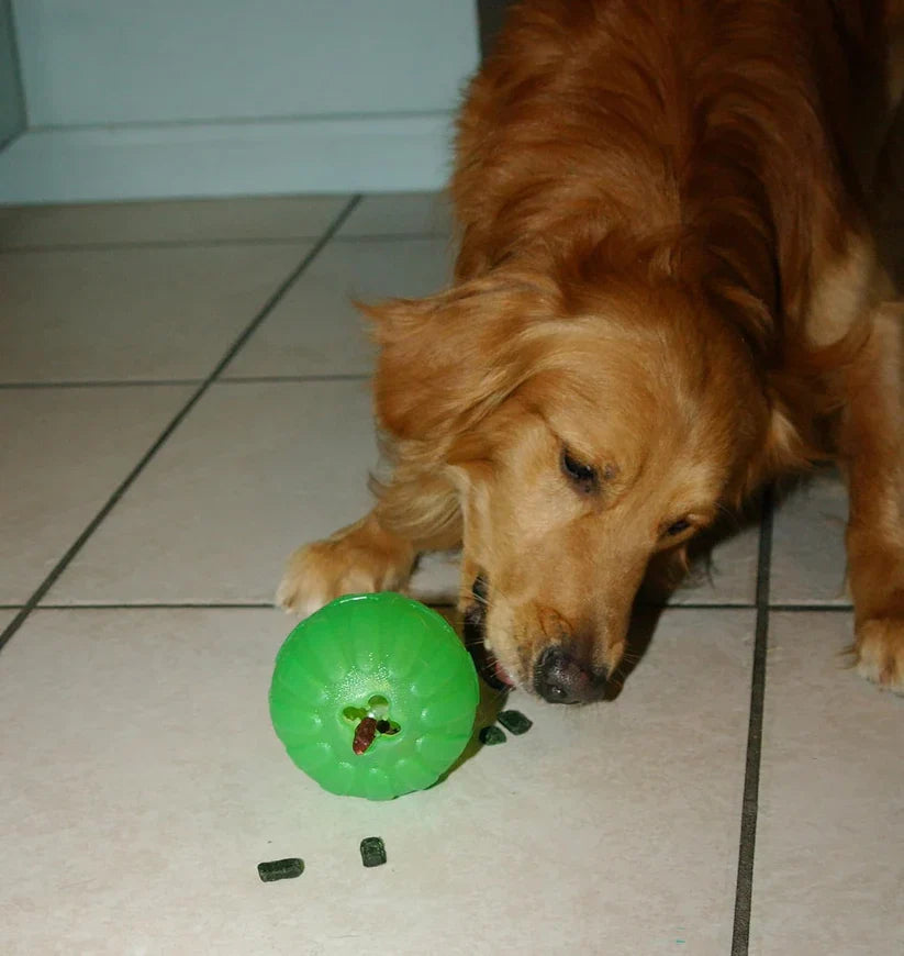 Durafoam Treat Dispensing Chew Ball for Dogs