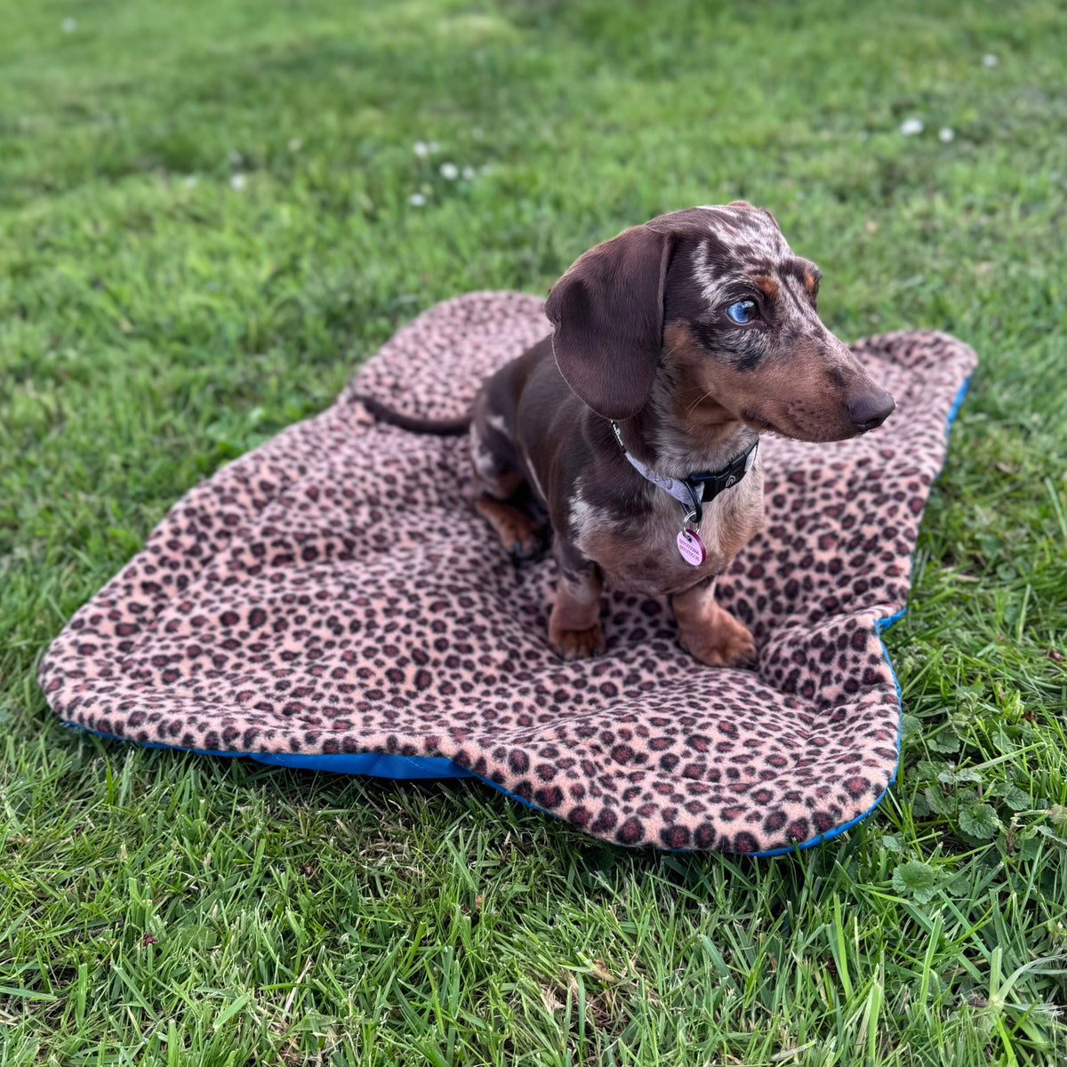 Pawliora Waterproof Pet Settle Mat