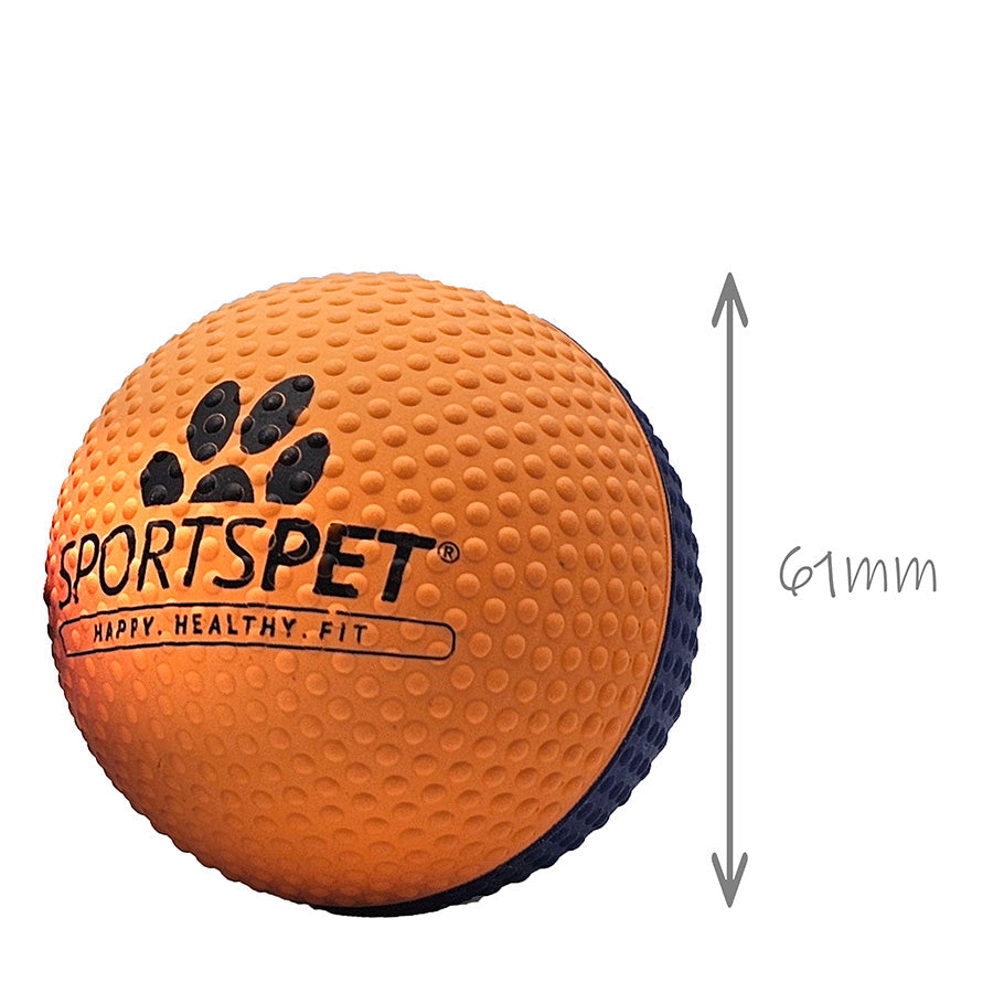 SportsPet Dimple Scented High Bounce Balls