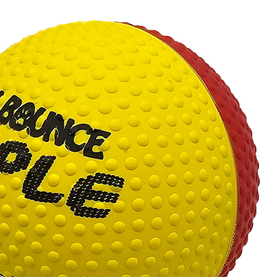 SportsPet Dimple Scented High Bounce Balls