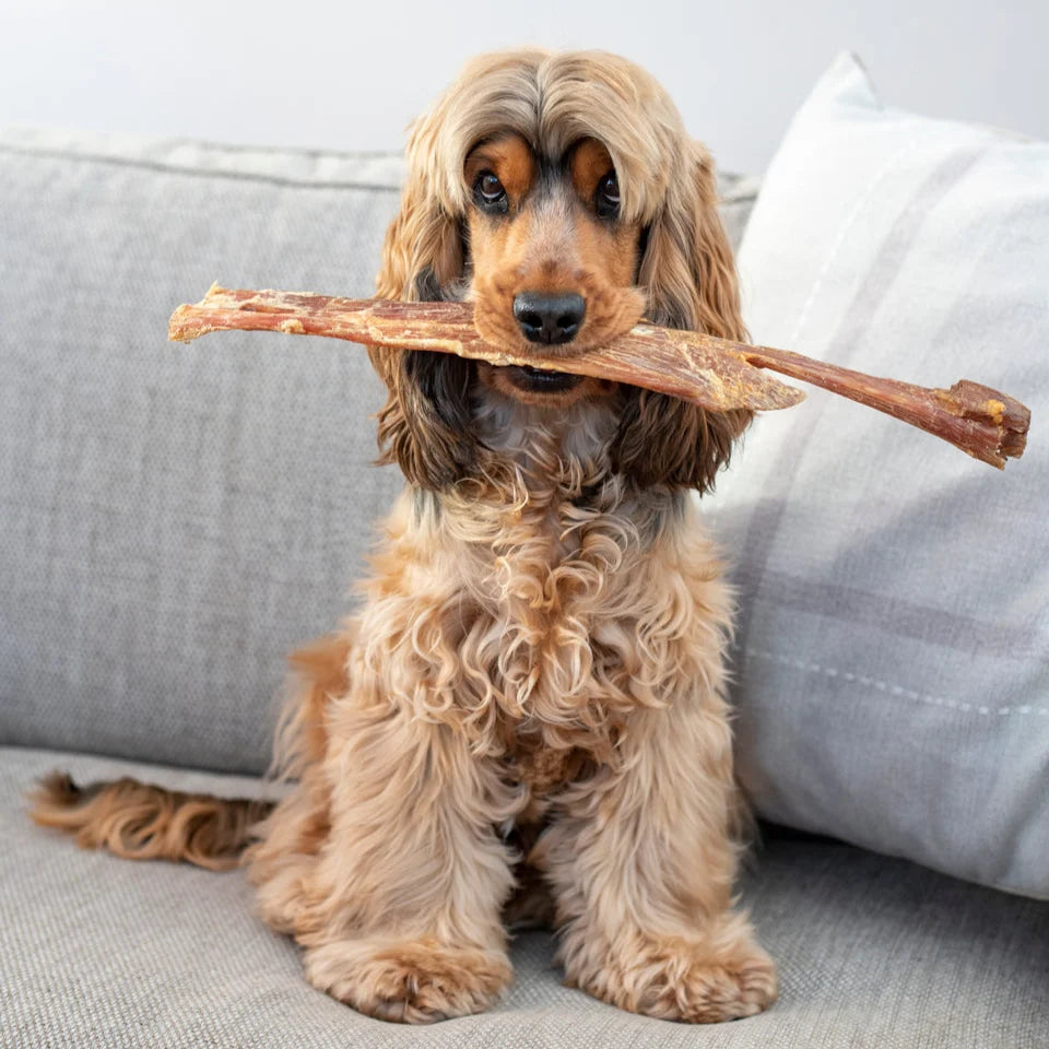 Anco Giant Paddywack Stick for Dogs