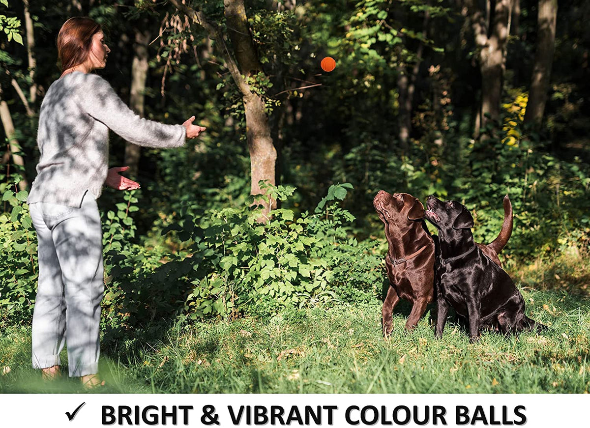 Super Tough Solid Rubber Bouncing Dog Ball