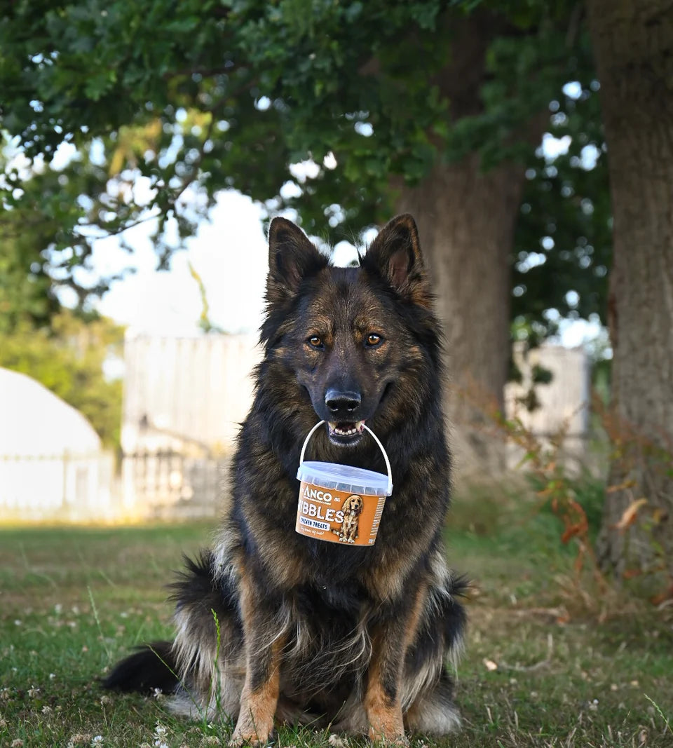 Anco Nibbles Training Treats