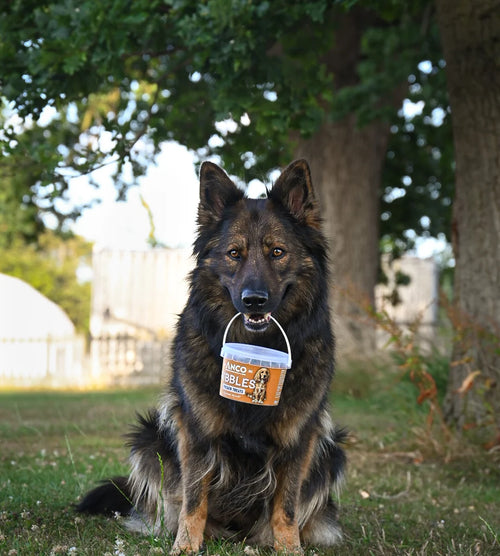 Anco Nibbles Training Treats