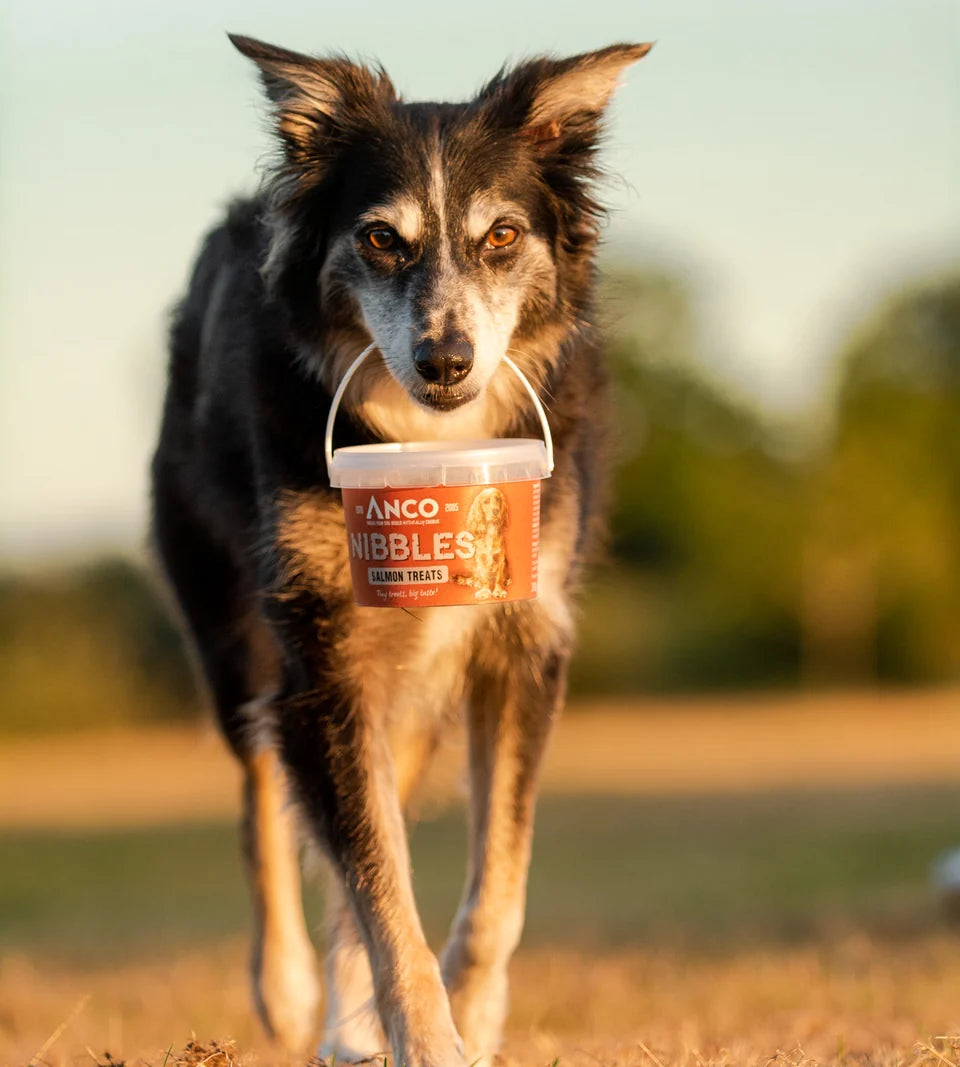 Anco Nibbles Training Treats