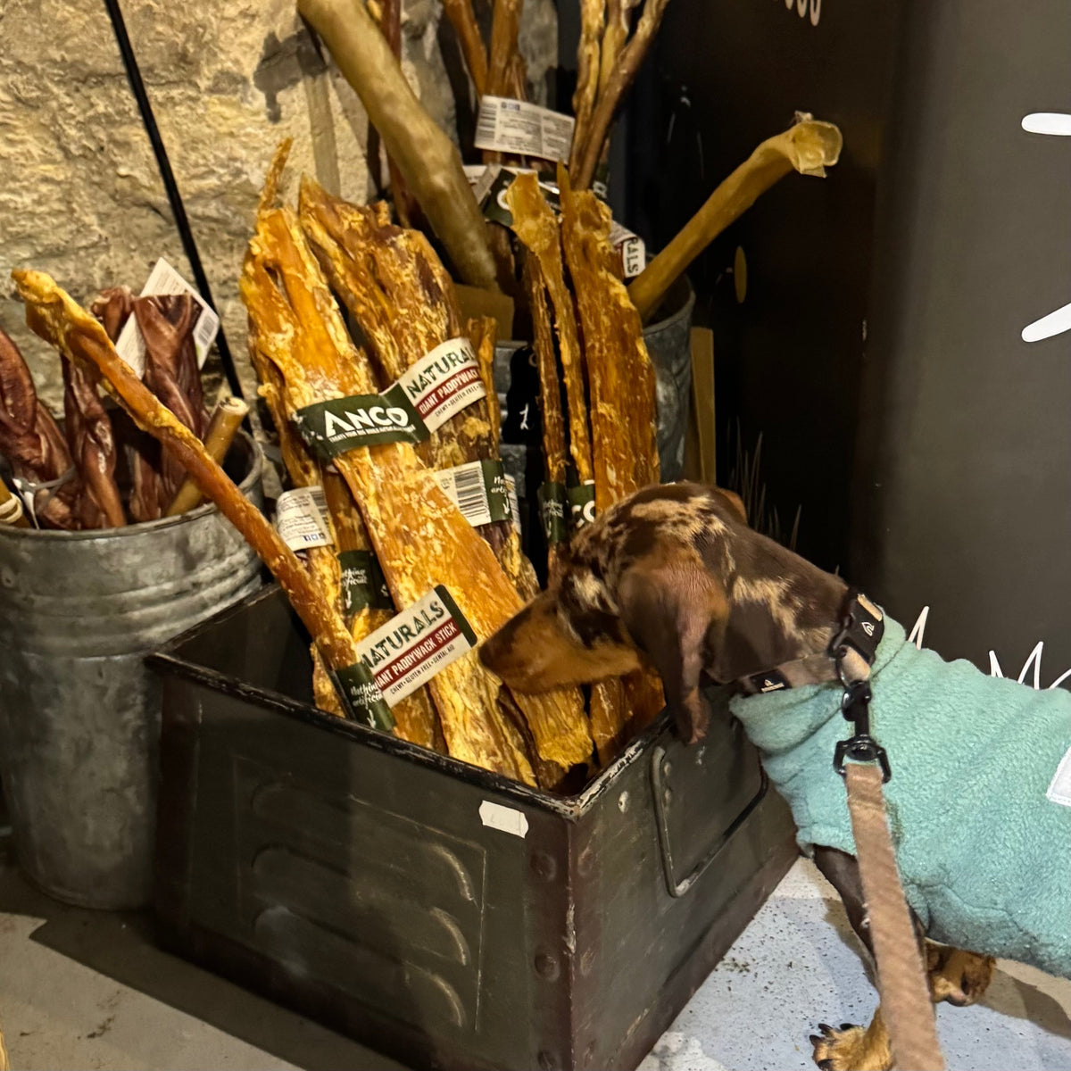 Anco Giant Paddywack Stick for Dogs