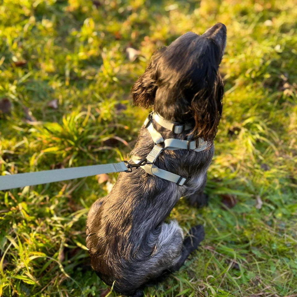 Pawliora Everyday Comfort Harness in Olive Green