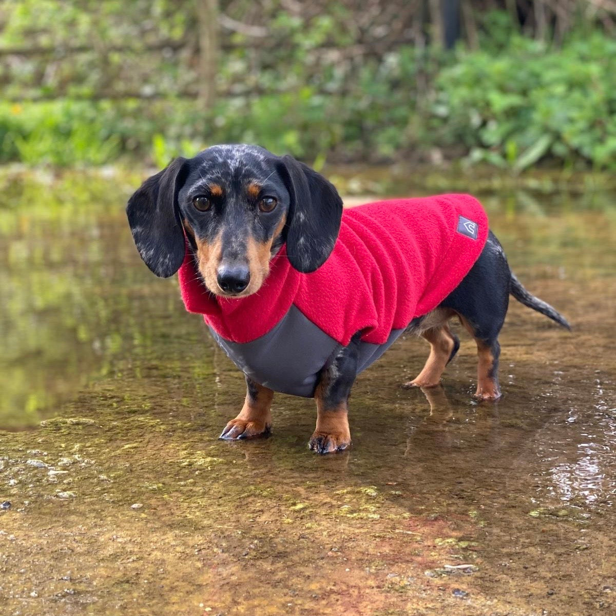 Dog Fleece Jumper with Waterproof Belly Panel