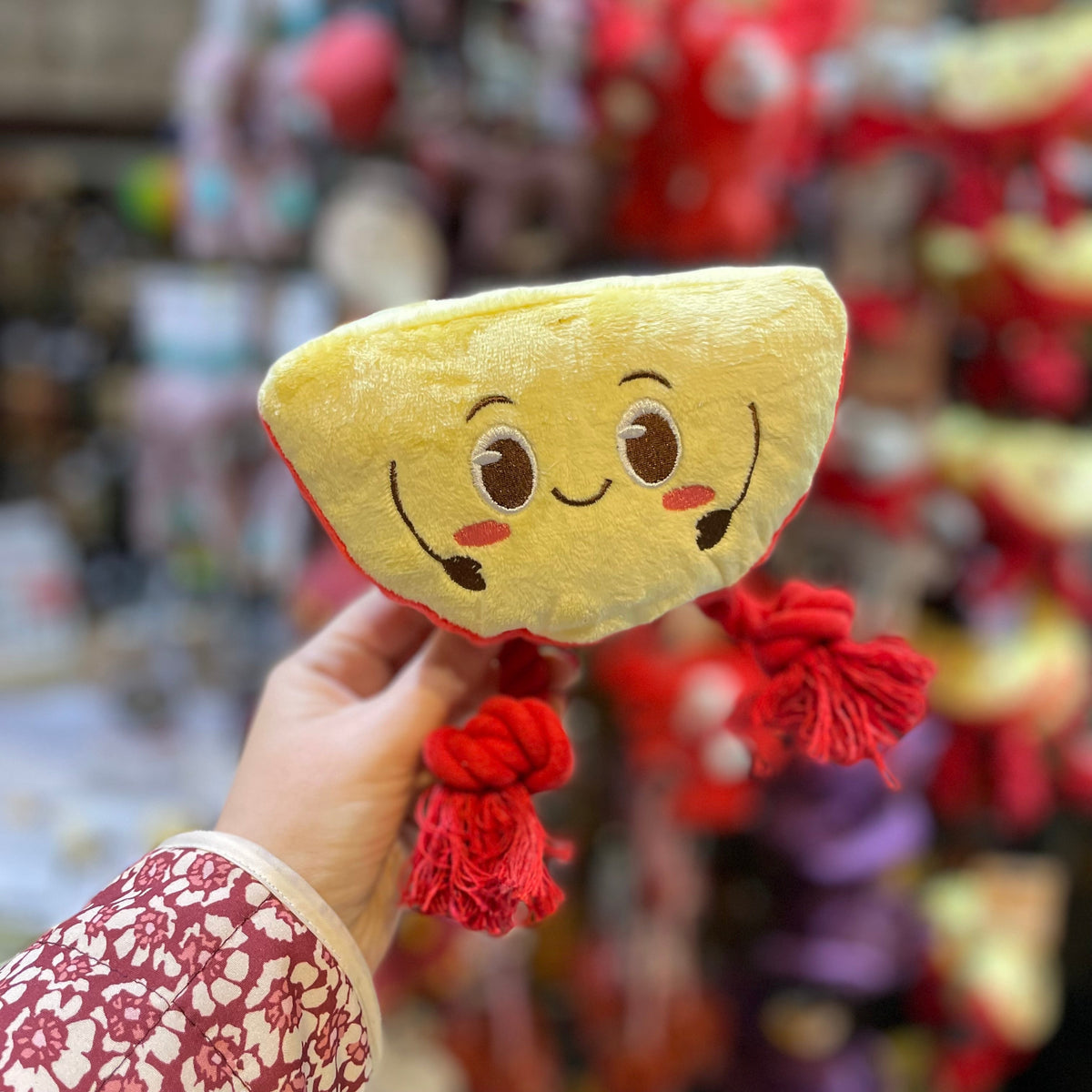 Edam Cheese Dog Toy with Rope Legs