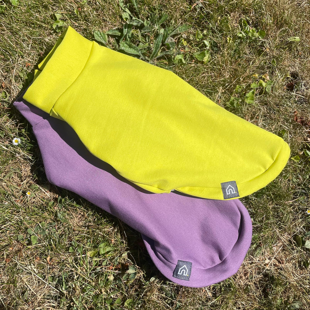 Dachshund Summer Ponte T-Shirt