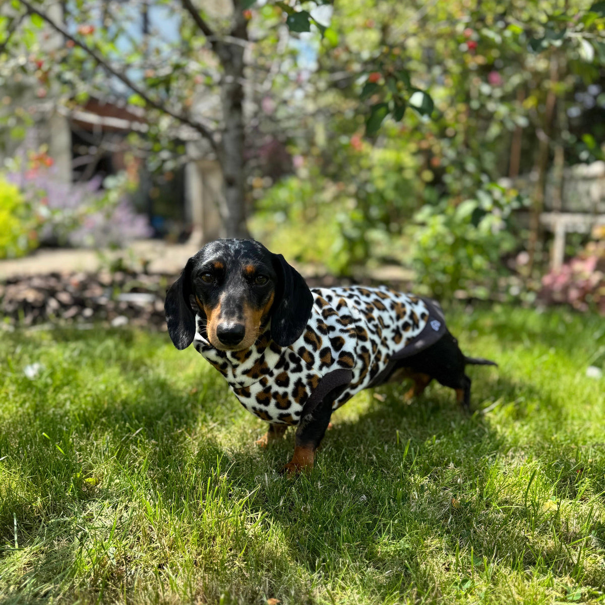 Dachshund Wild Animal Print Fleece Jumper