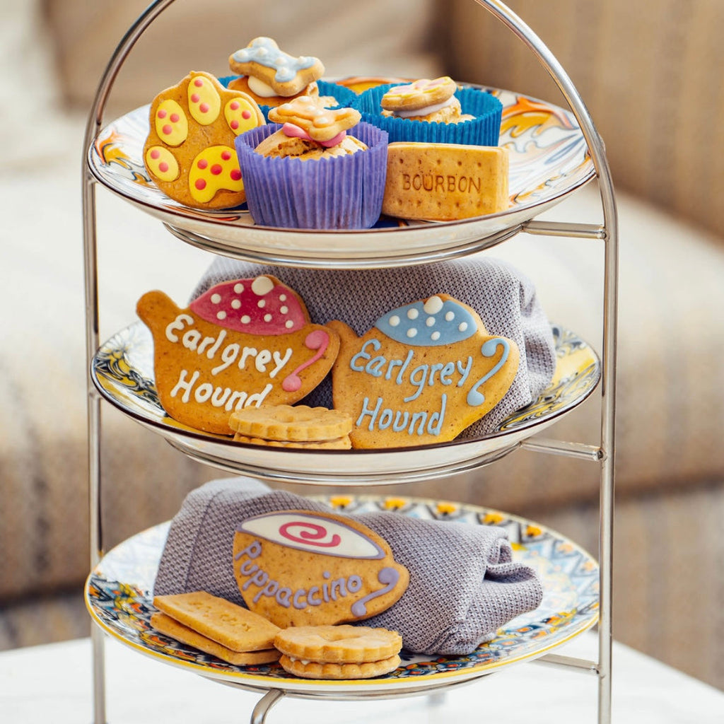 Coffee Cup 'Puppaccino' Biscuits for Dogs