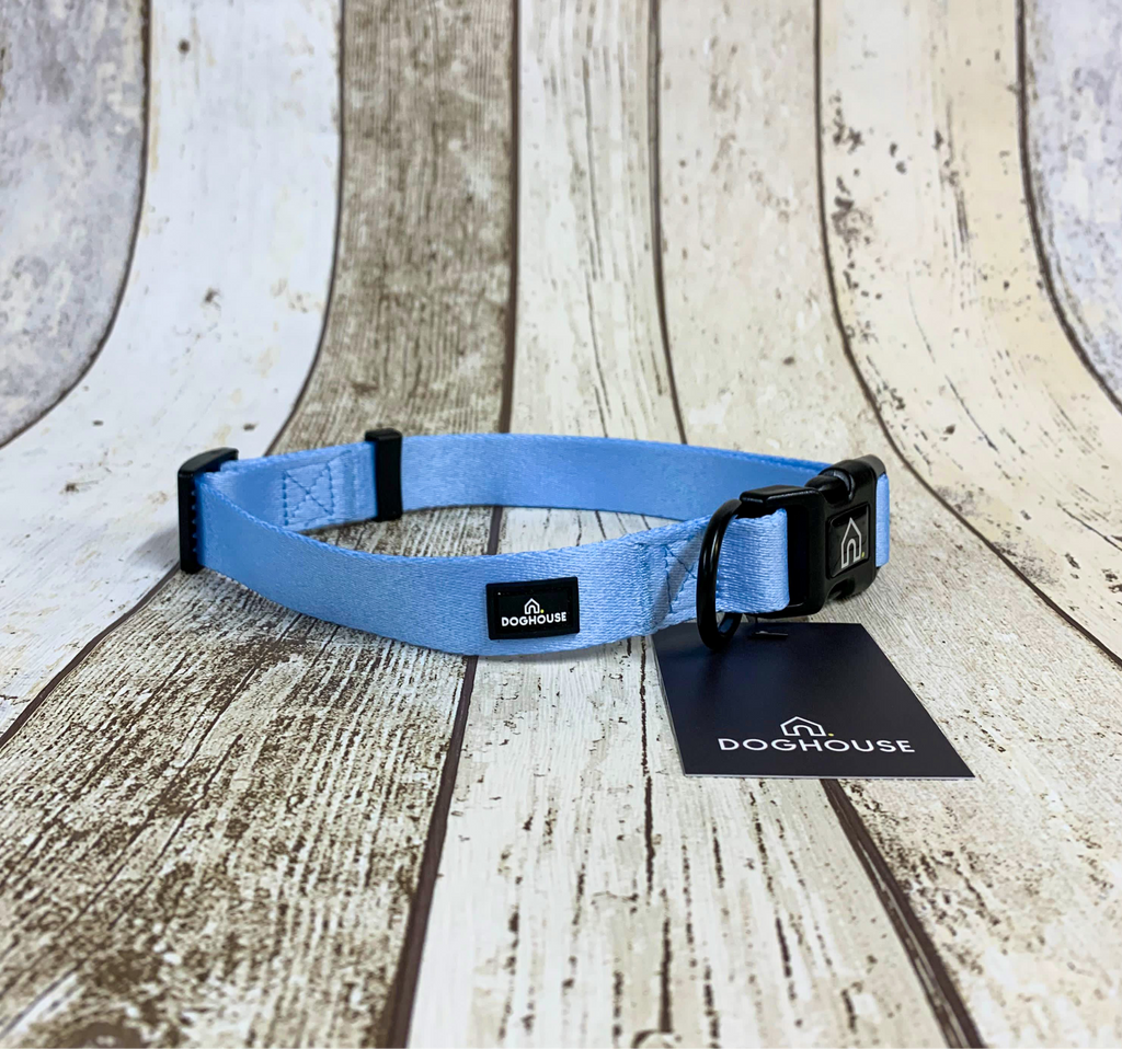 Pawliora Everyday Comfort Dog Collar in Pale Blue