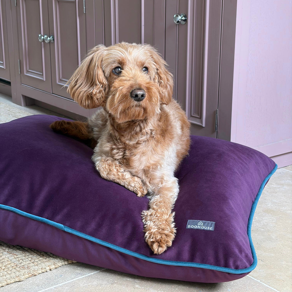 Pawliora Velvet Bed Pad for Dogs