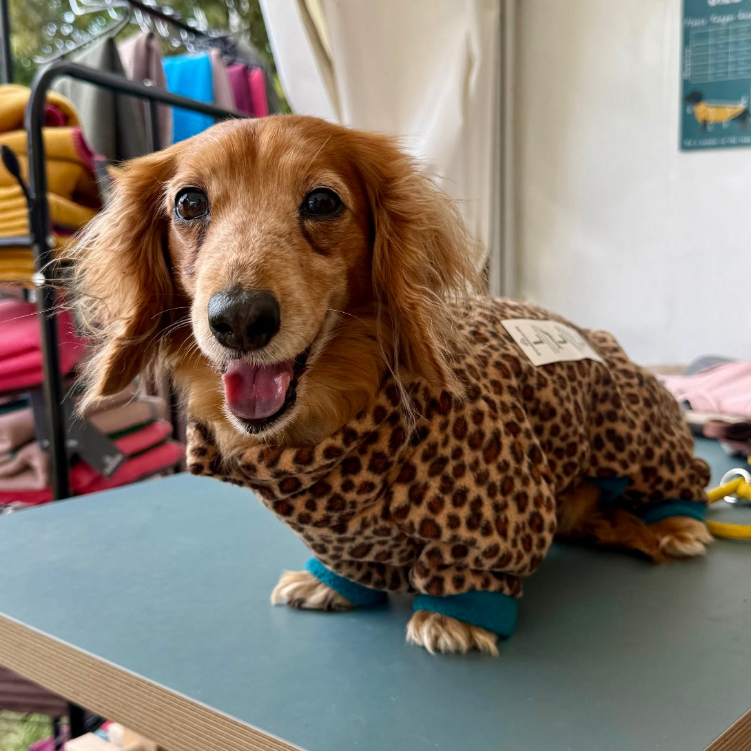 Dachshund Wild Animal Print Fleece Suits with 4 Legs