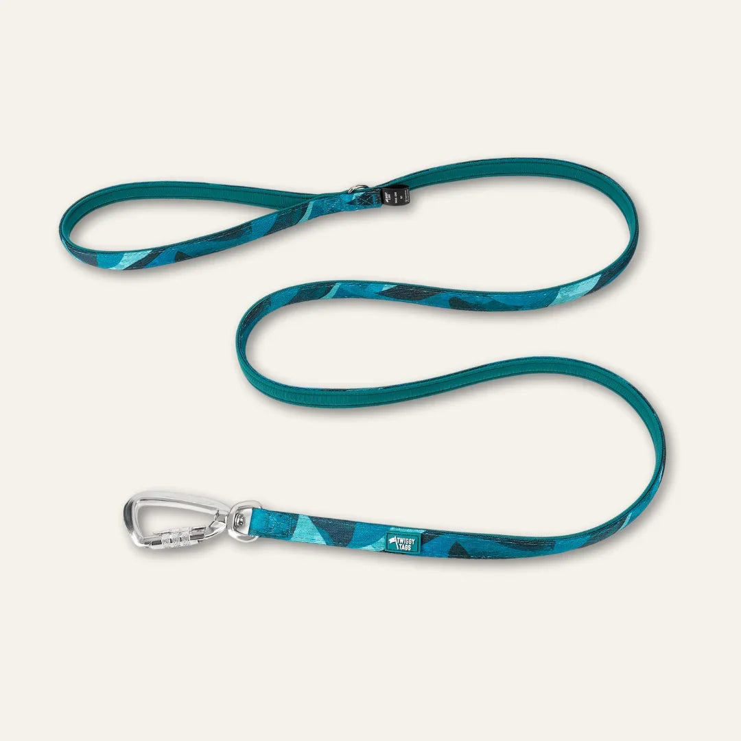 Twiggy Tags Lite Lead