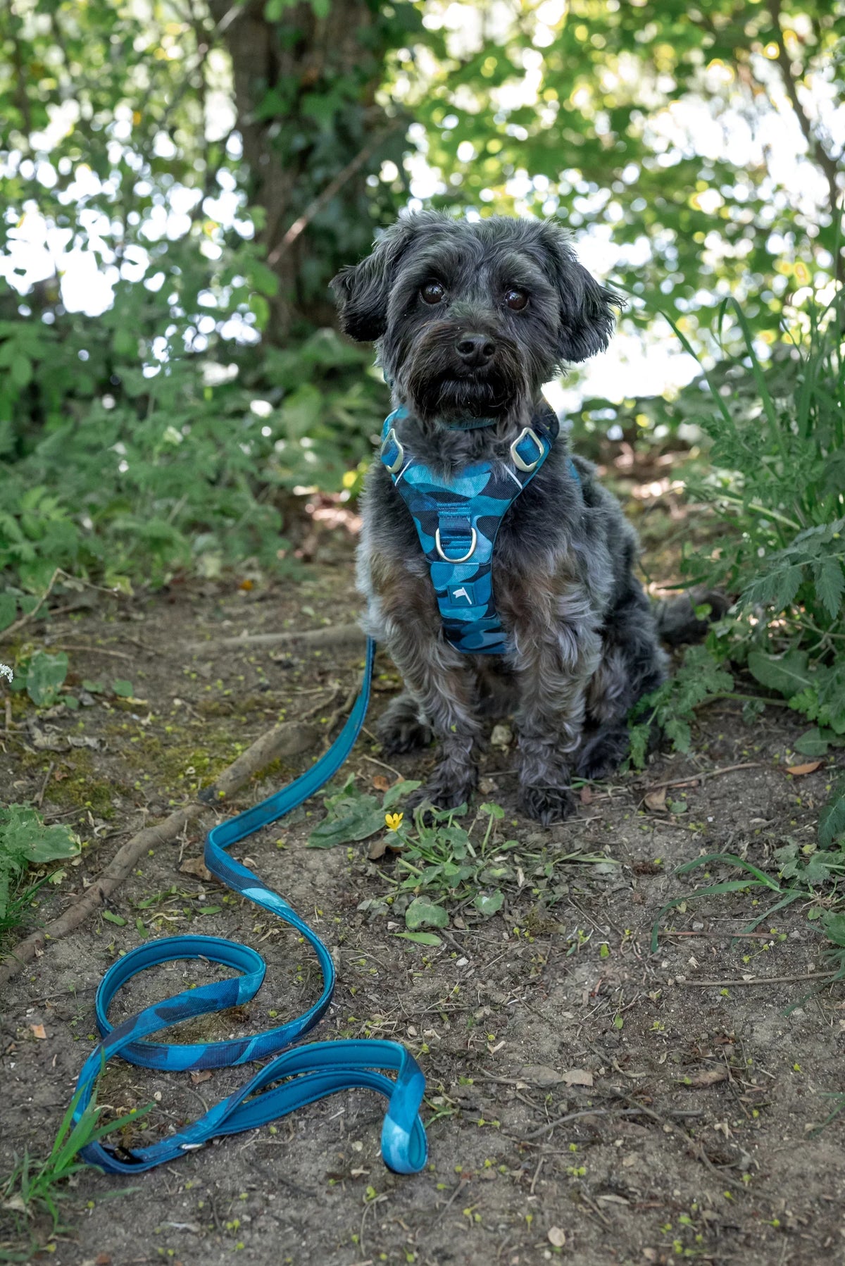 Twiggy Tags Adventure 2.0 Leads in Lagoon