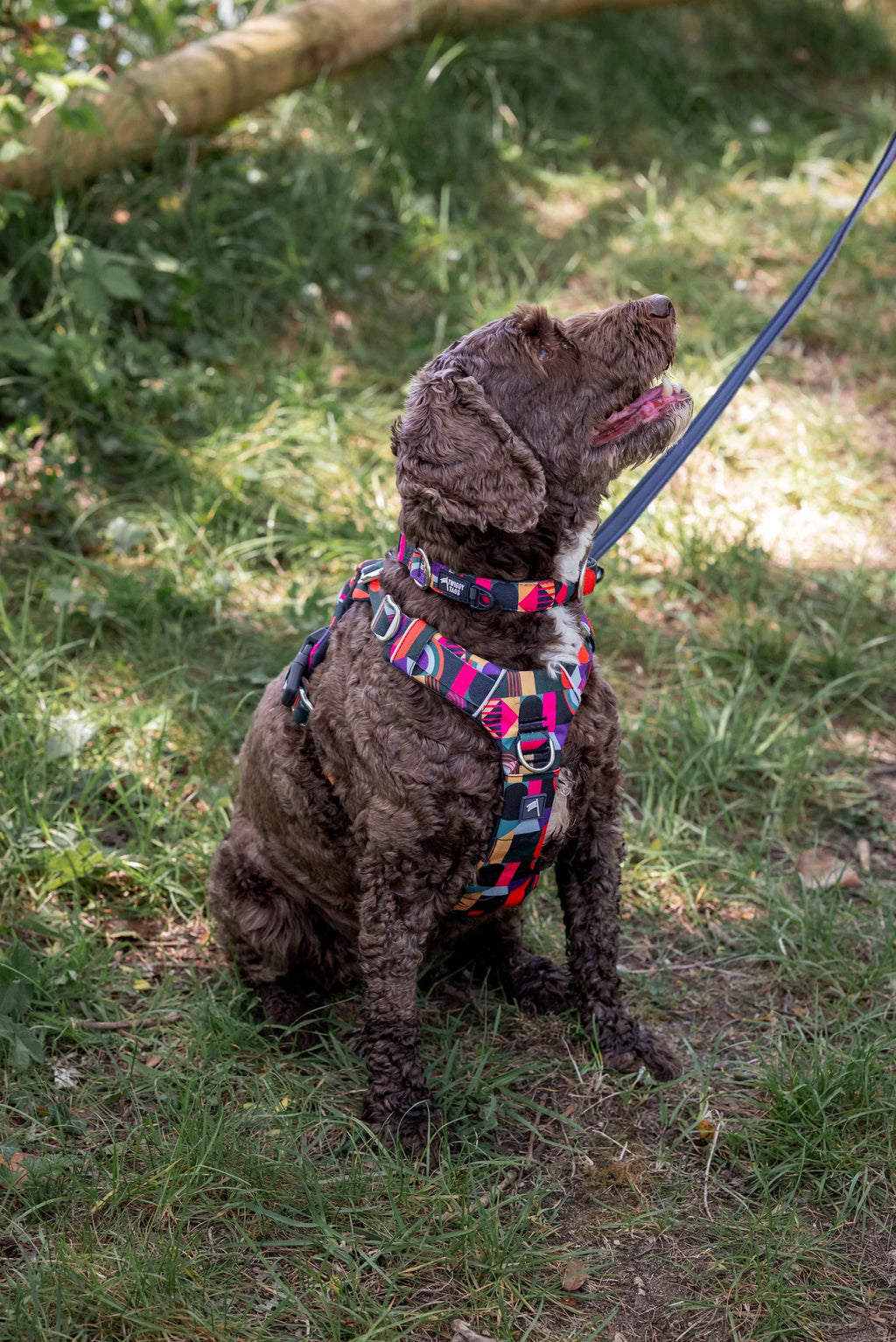 Twiggy Tags Lite Lead