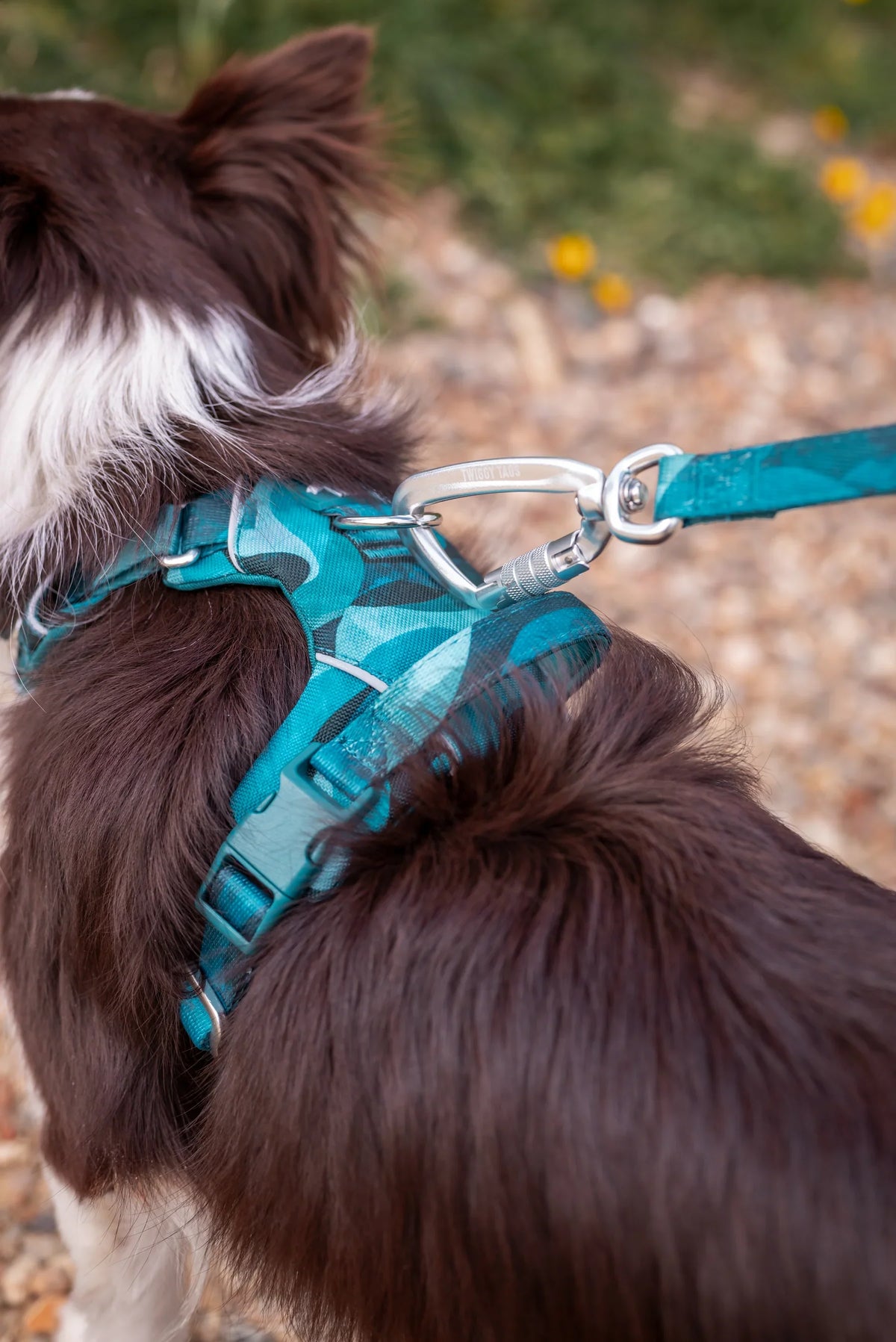 Twiggy Tags Lite Lead