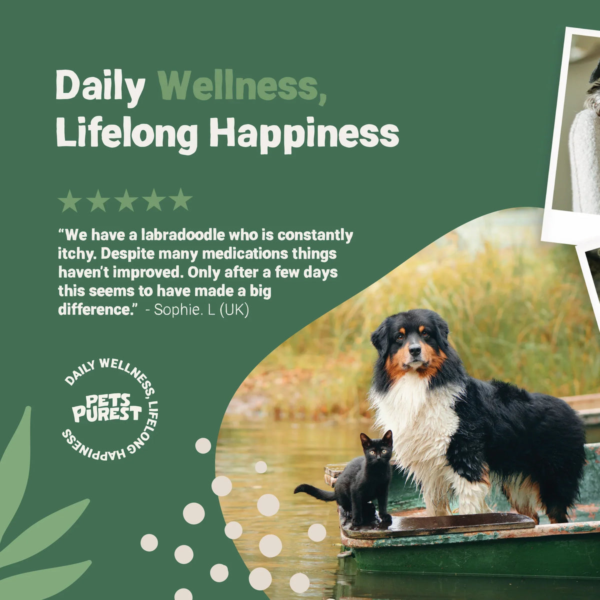 Pets Purest Allergy & Itch Drops