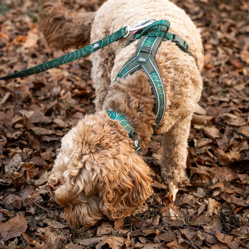 Twiggy Tags Apex Harness in Nomad