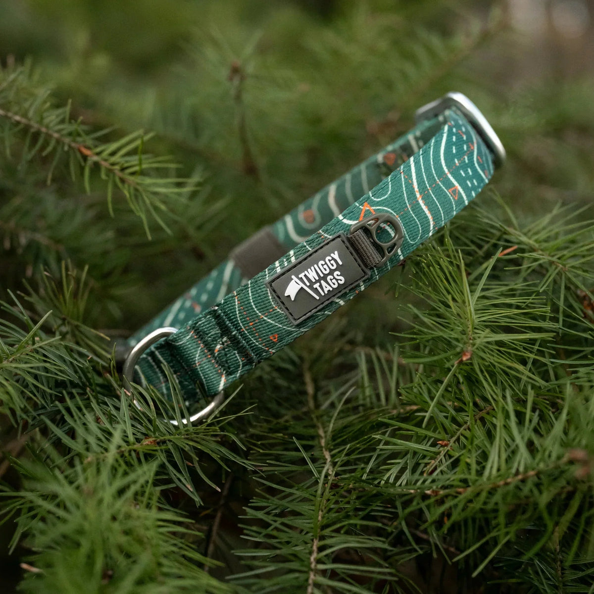 Twiggy Tags Apex Collar in Nomad