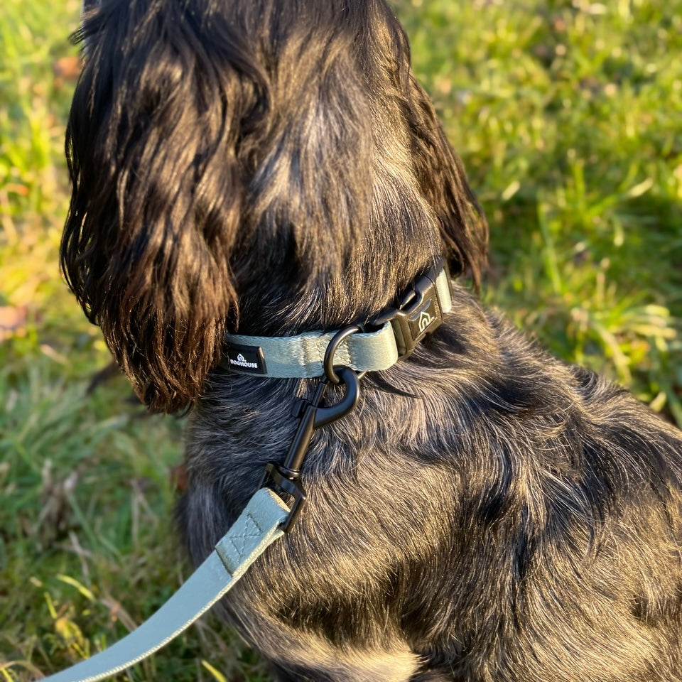 Pawliora Everyday Comfort Dog Collar in Olive Green