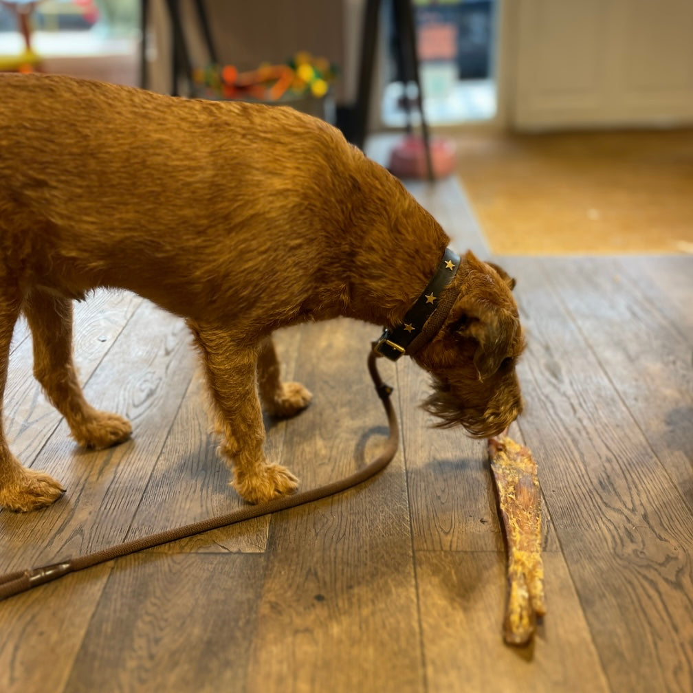 Anco Giant Paddywack Stick for Dogs