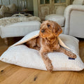 Pawliora Burrow Bed for Dogs