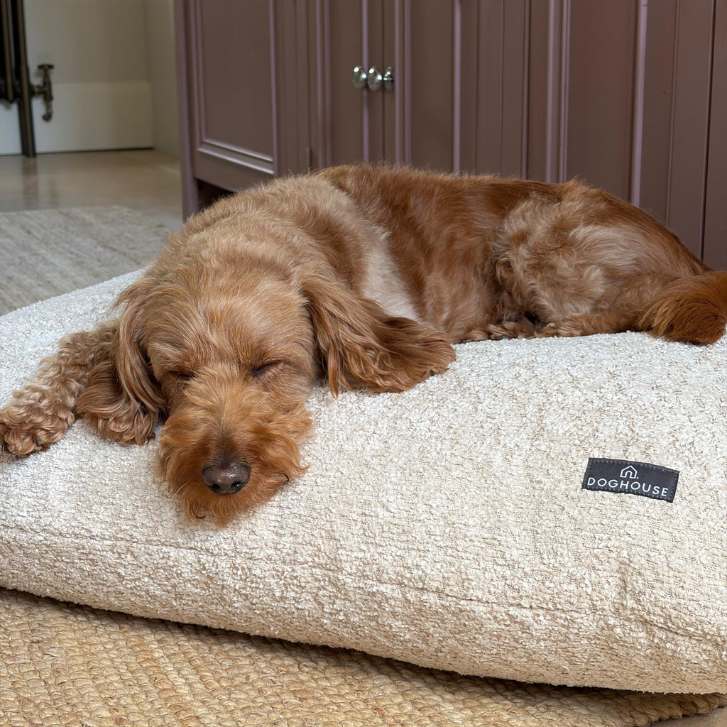 Pawliora Chenille Bed Pad for Dogs