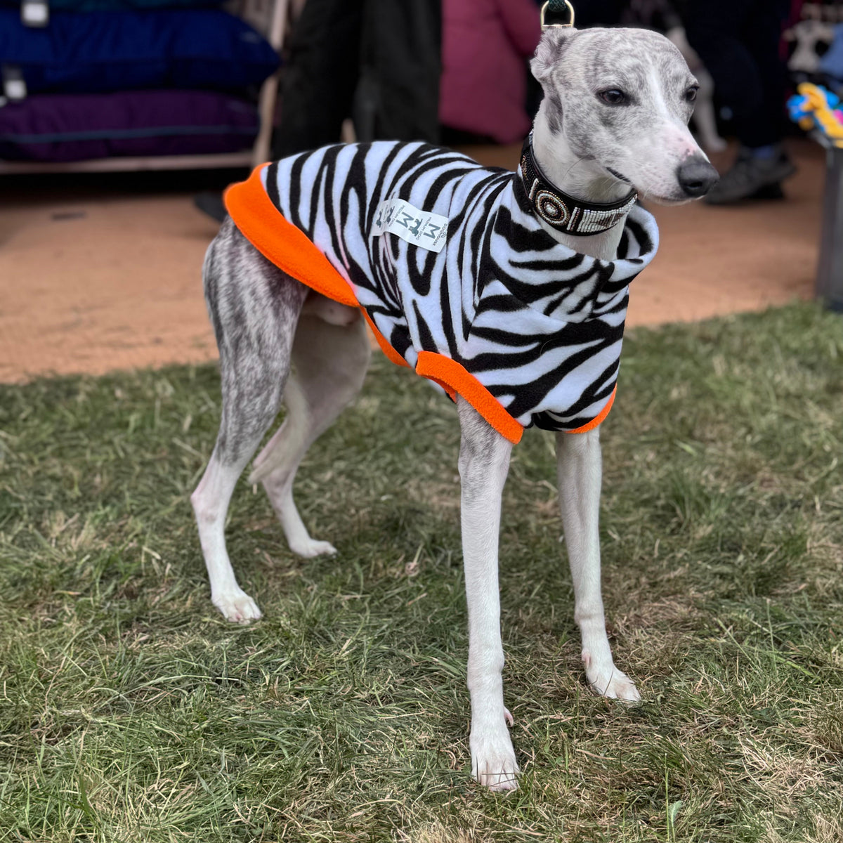 Wild Animal Print Fleece Jumper for Dogs