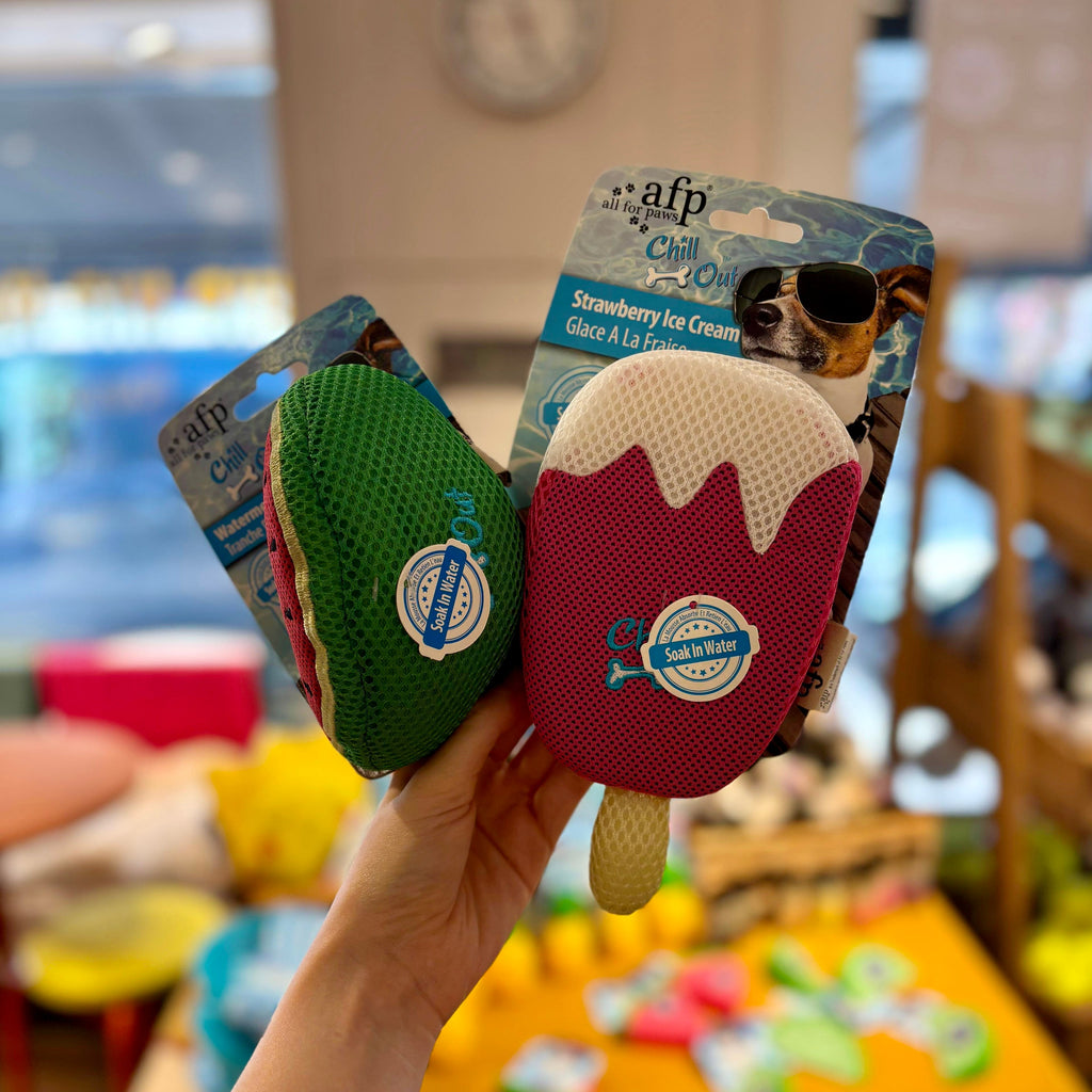 Watermelon Cooling Fruit Toy