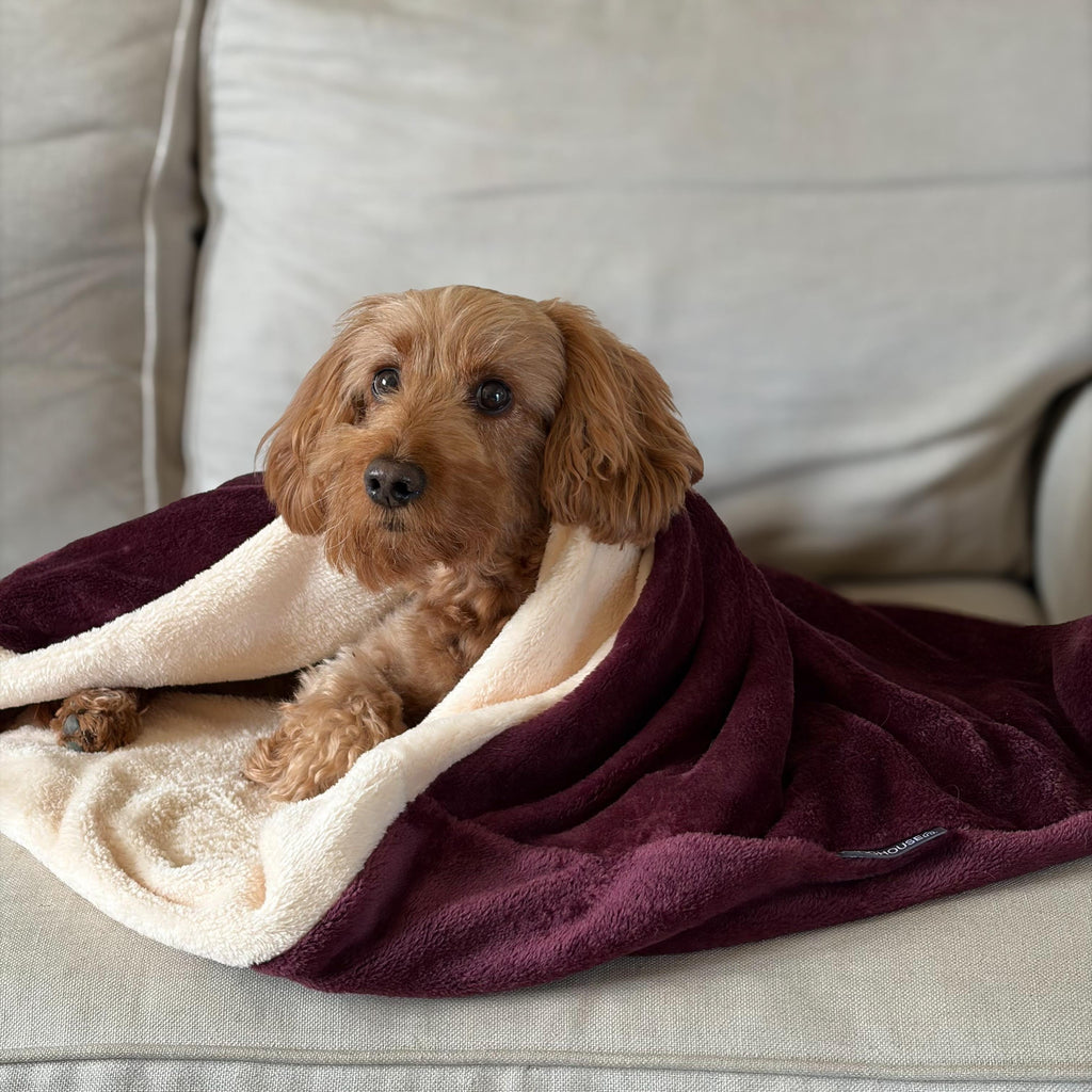 Pawliora Snuggle Sacks
