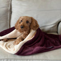 Pawliora Snuggle Sacks