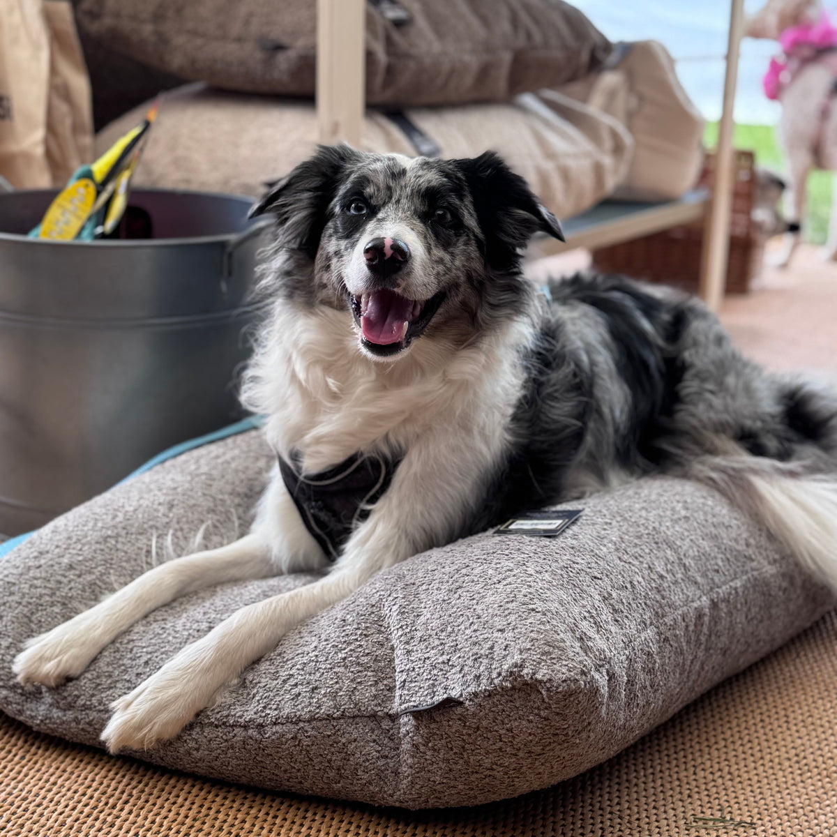 Pawliora Chenille Bed Pad for Dogs