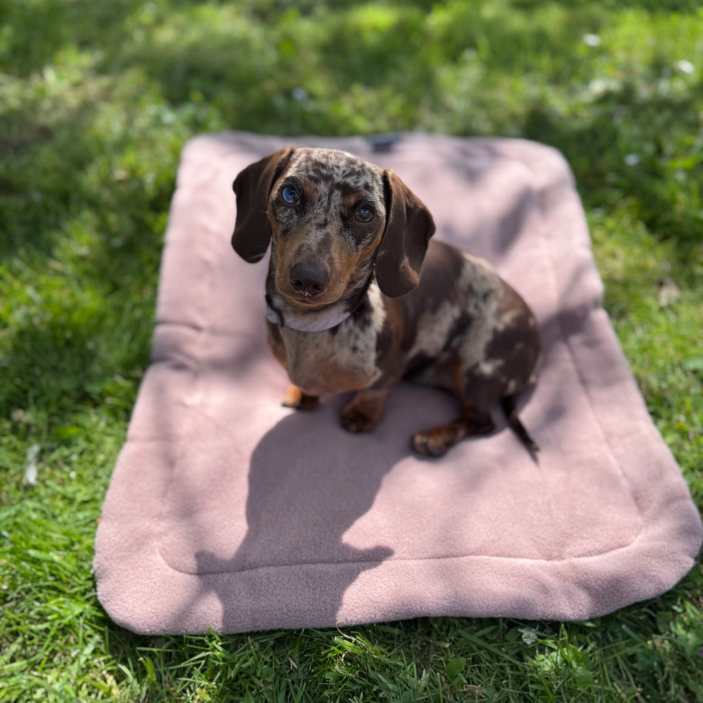 Pawliora Waterproof Pet Settle Mat