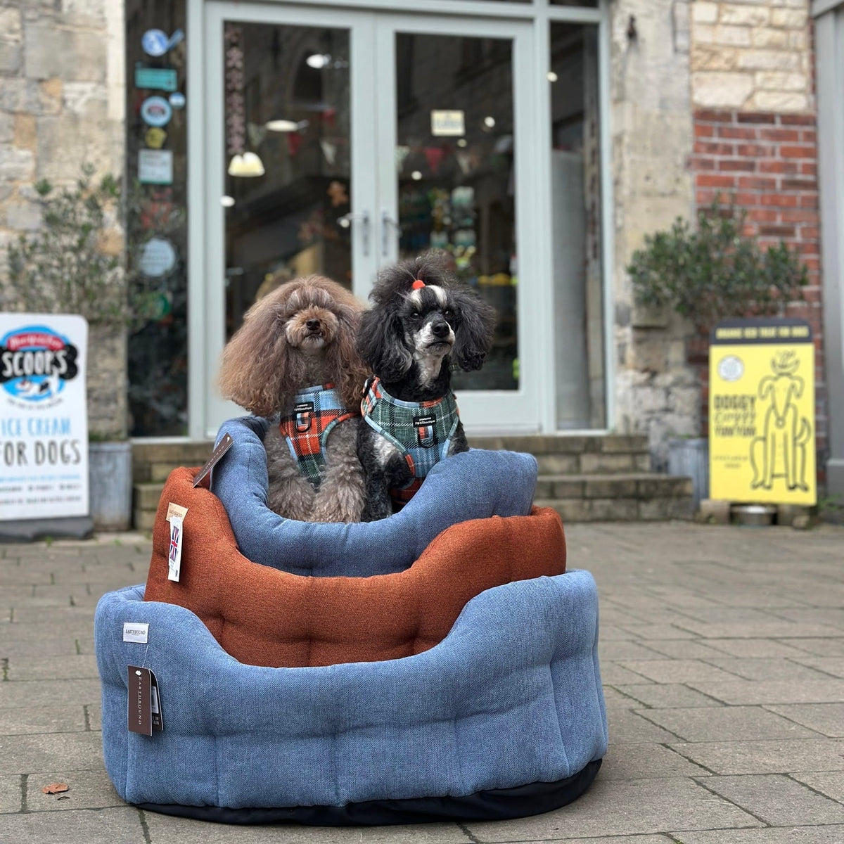 Earthbound Camden Burnt Orange Dog Bed