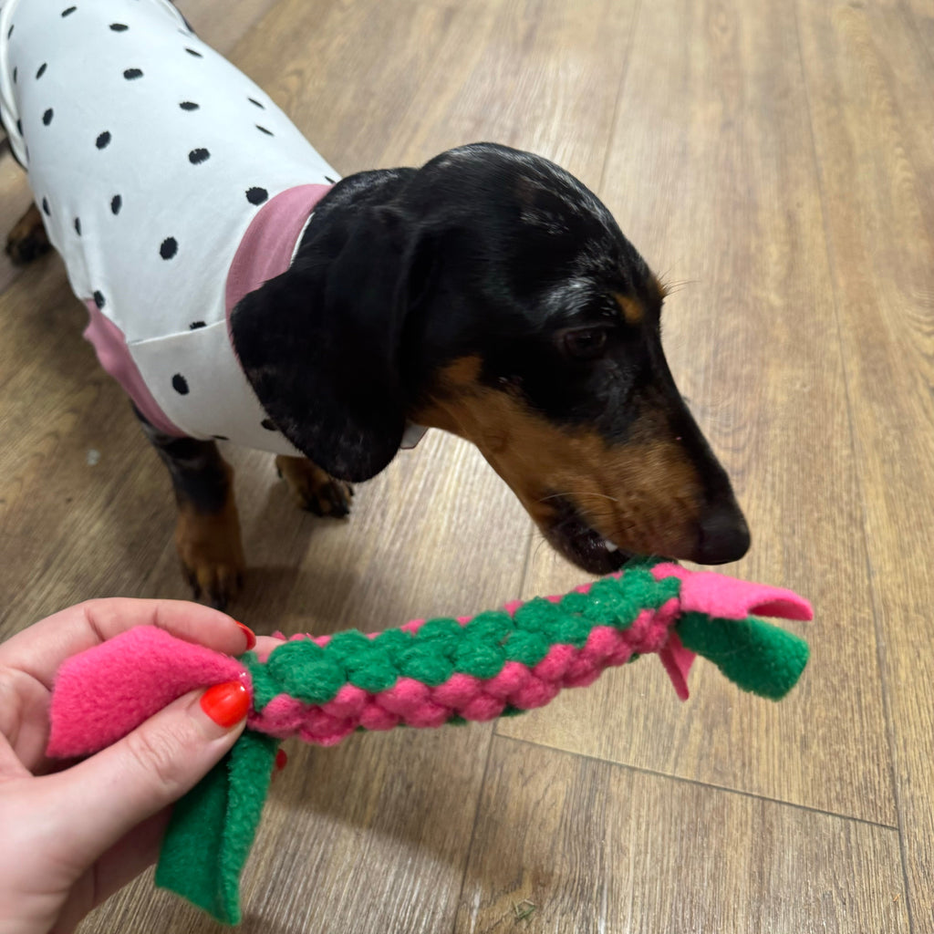 Pawliora Play and Tug Fleece Toy
