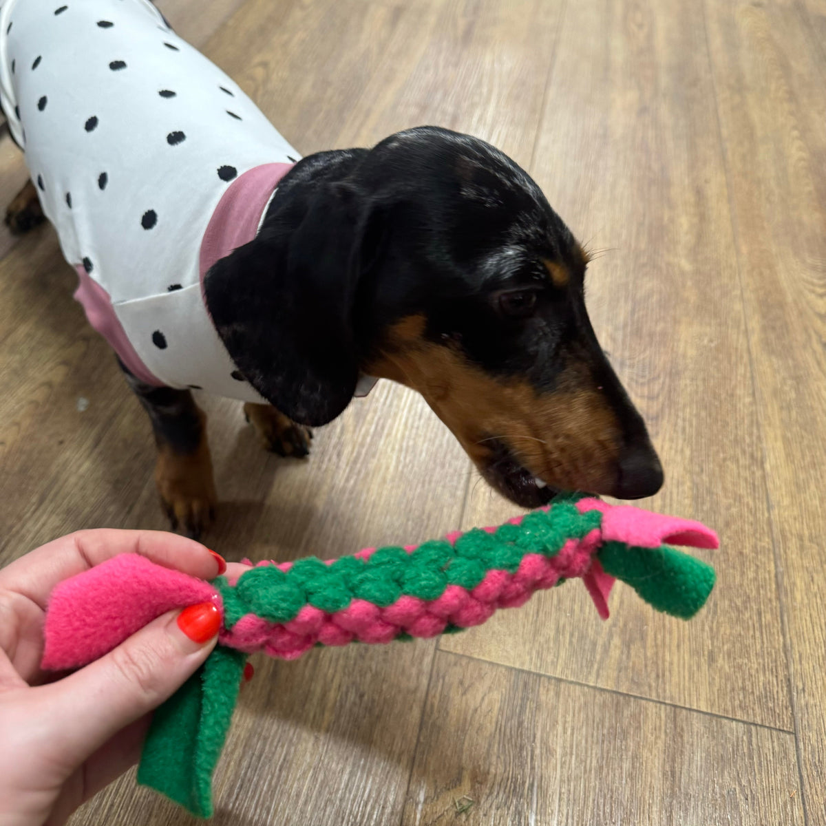 Pawliora Play and Tug Fleece Toy