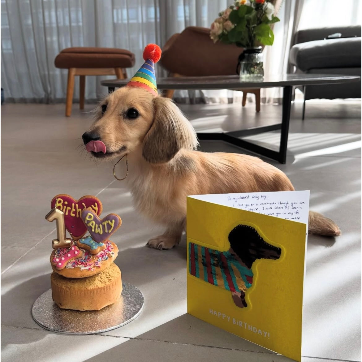 Handmade Party Cakes for Dogs