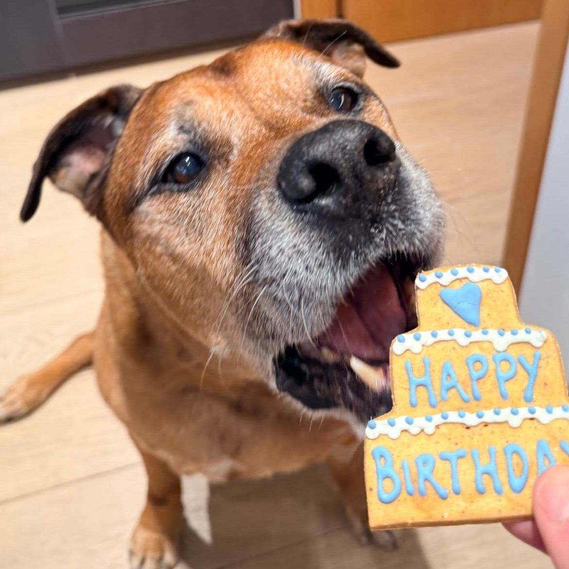 Happy Birthday Three Tier Biscuit for Dogs