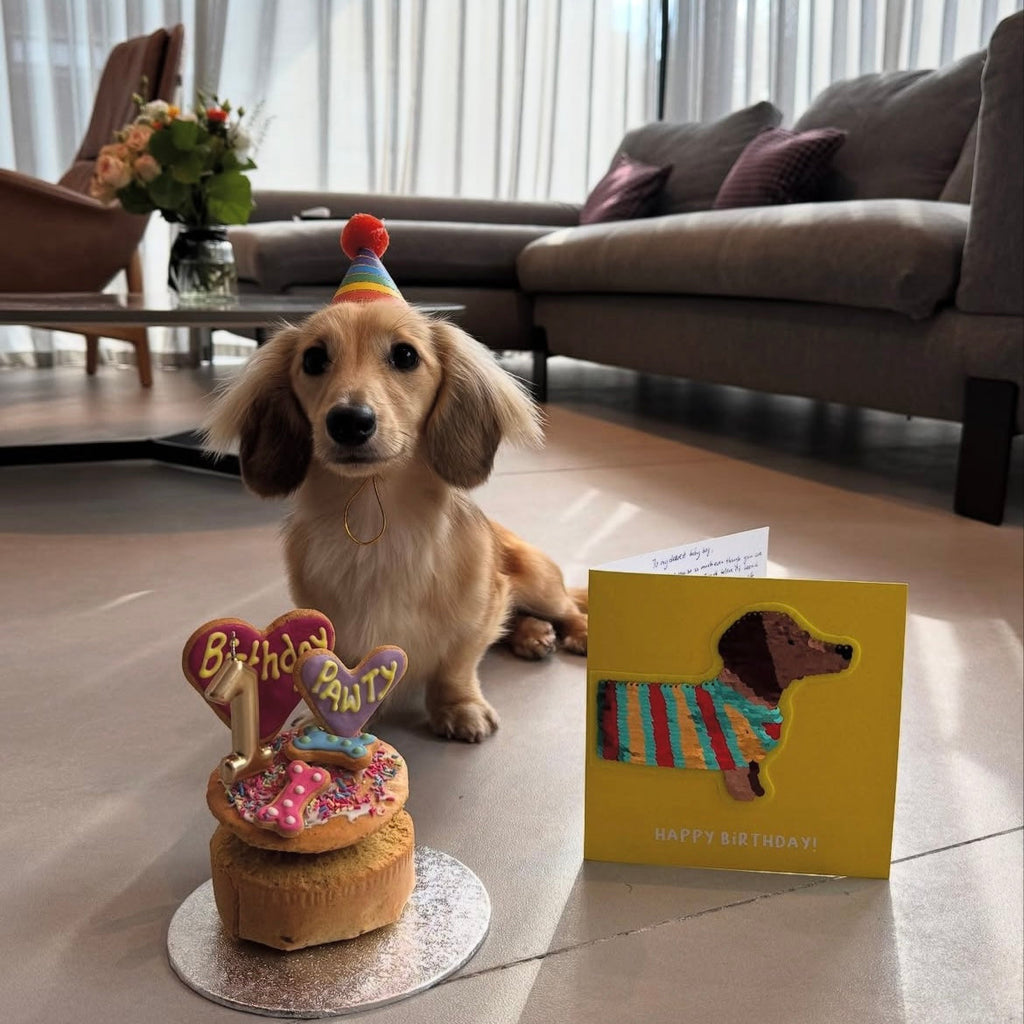 Handmade Party Cakes for Dogs