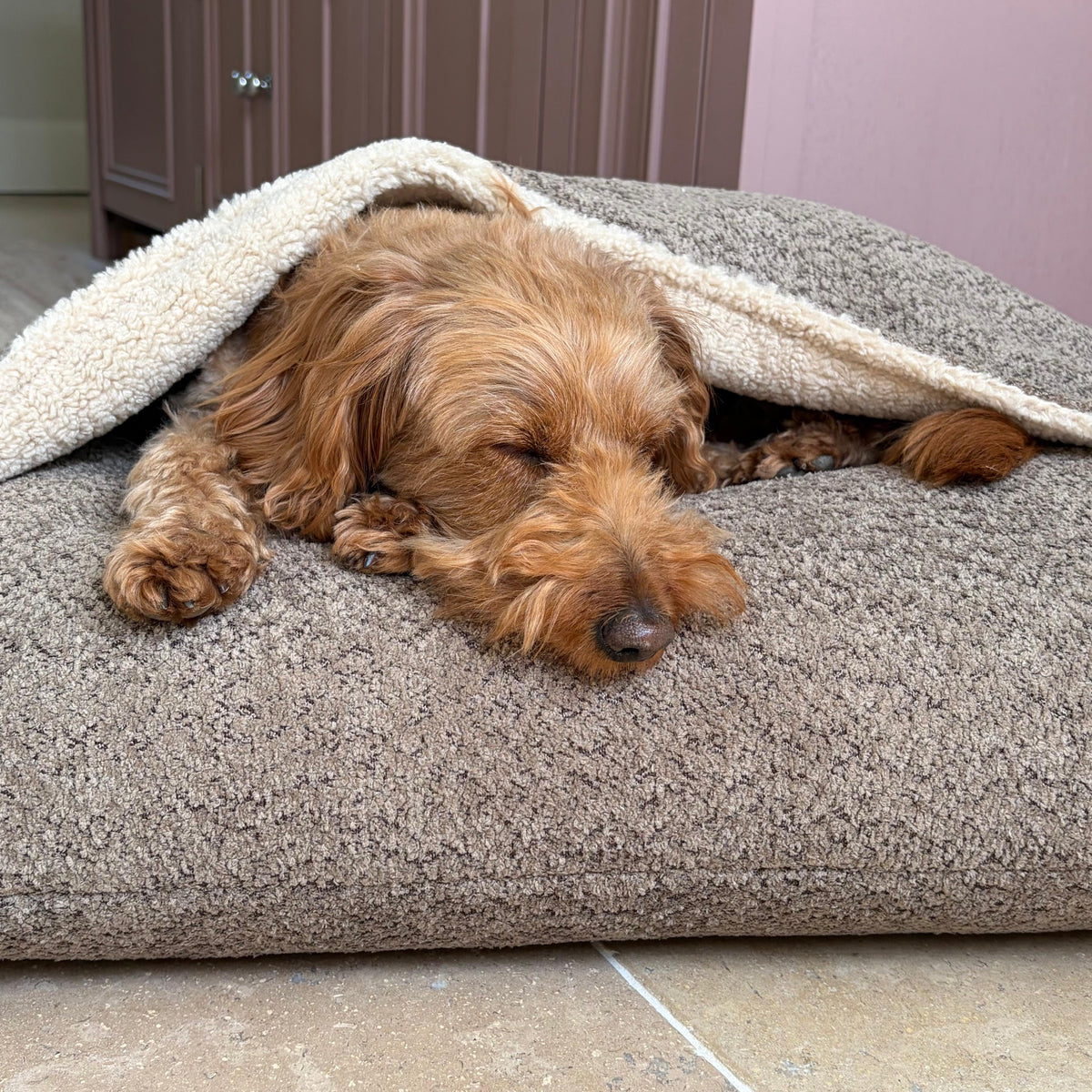 Pawliora Burrow Bed for Dogs