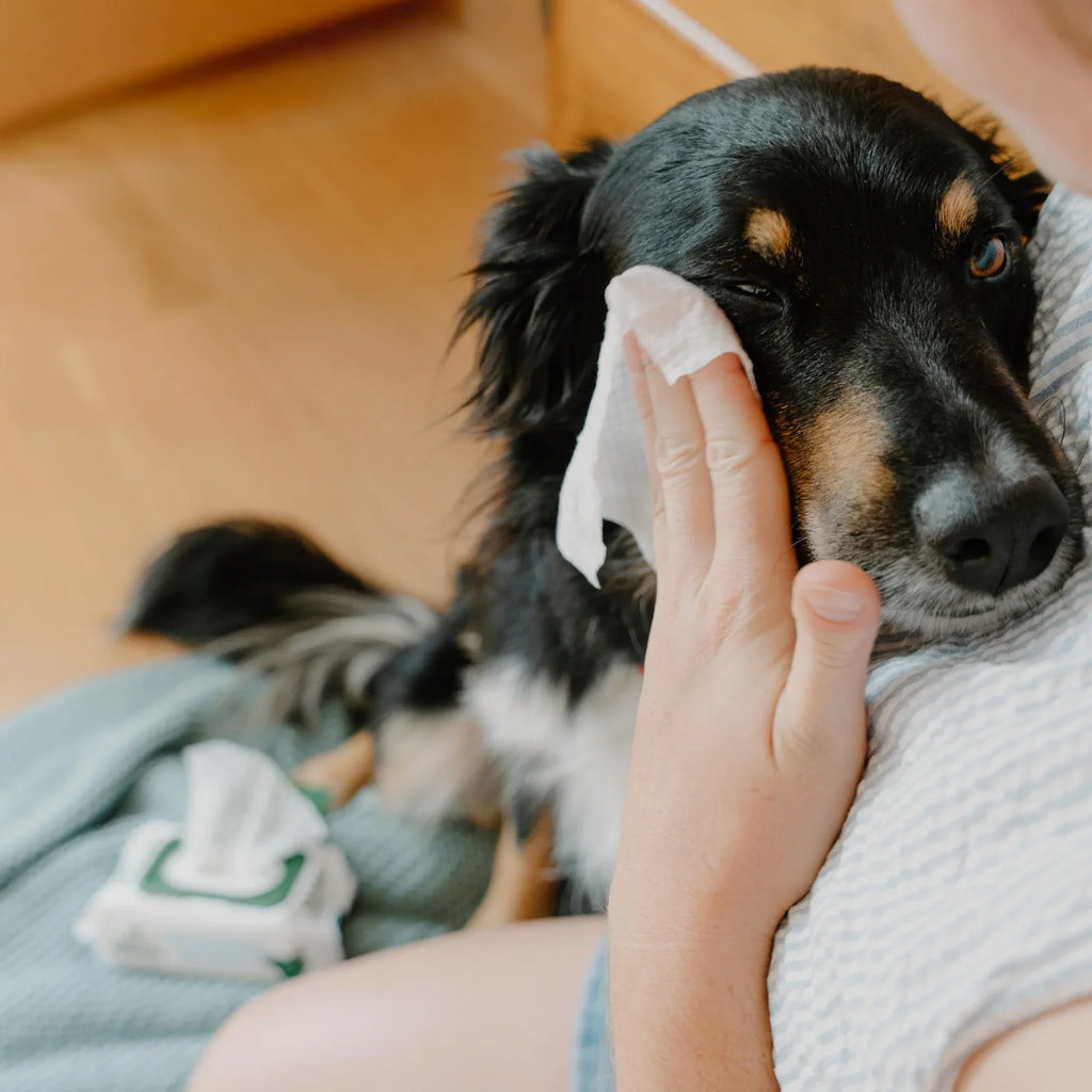 Beco Unscented Eye Wipes