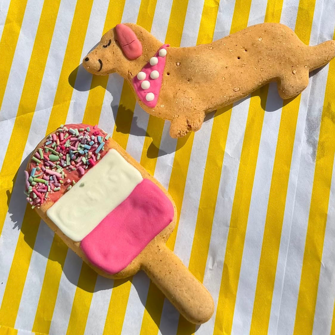 Ice Lolly Sprinkle Biscuit for Dogs