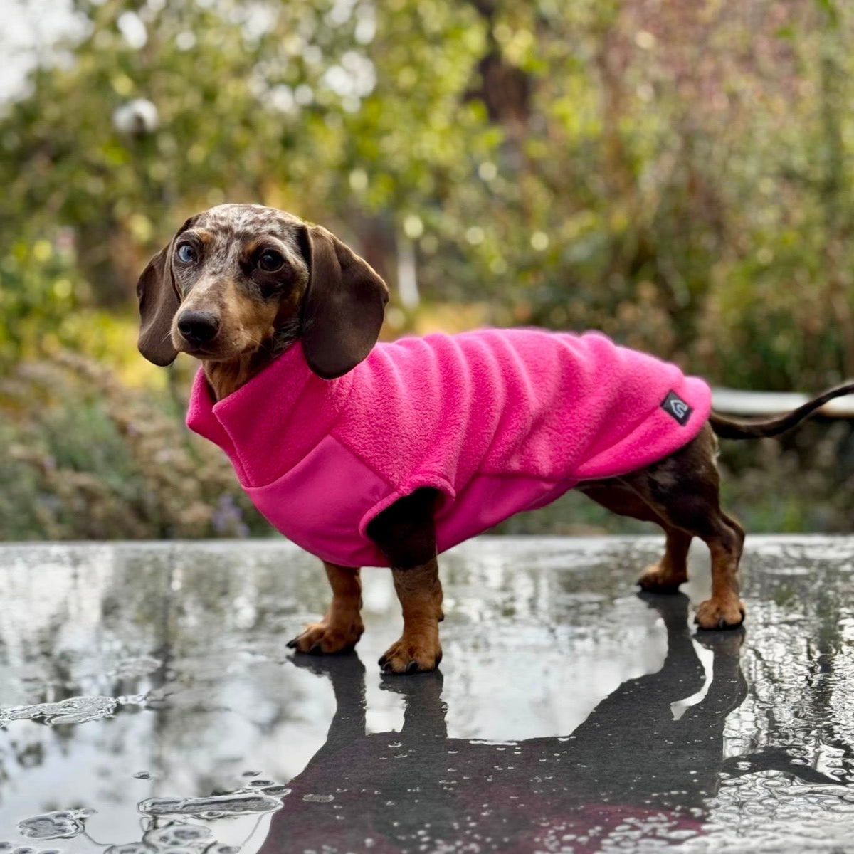 Dog Fleece Jumper with Waterproof Belly Panel
