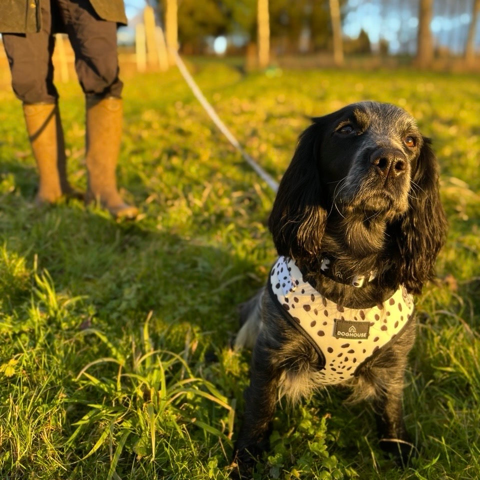 Pawliora Everyday Comfort Harness in Dalmatian Spot