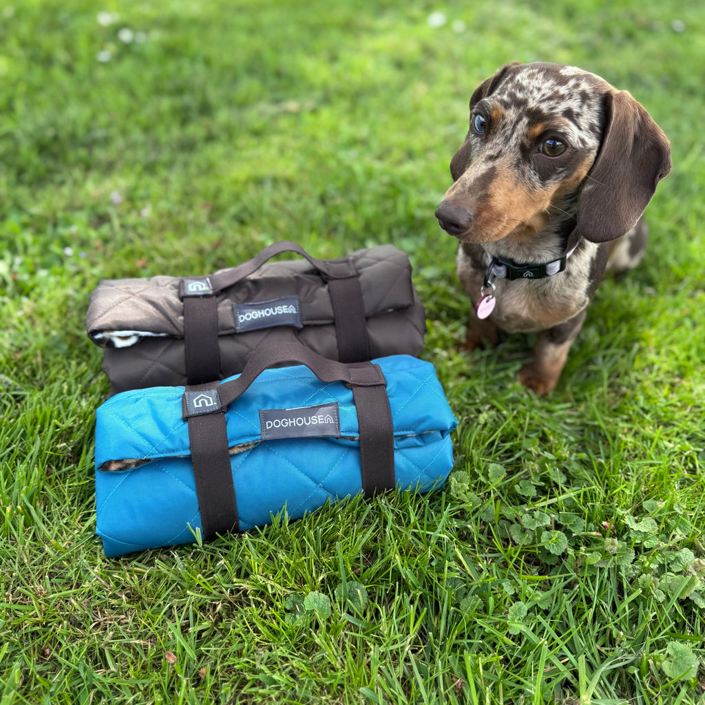 Pawliora Waterproof Pet Settle Mat